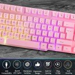 Orzly Pink Gaming Keyboard RGB USB Wired Rainbow Keyboard Designed for PC Gamers, PS4, PS5, Laptop, Xbox, Nintendo Switch, RX-250 Hornet Edition