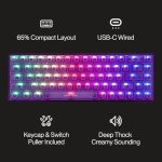 Higround Crystal Amethyst Basecamp 65% Mechanical USB Wired Gaming Keyboard, White Flame Switches, Programable RGB, Transparent/Translucent, Hot-Swappable, Deep Thock Creamy Sounding PC Keyboard