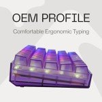 Higround Crystal Amethyst Basecamp 65% Mechanical USB Wired Gaming Keyboard, White Flame Switches, Programable RGB, Transparent/Translucent, Hot-Swappable, Deep Thock Creamy Sounding PC Keyboard