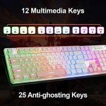 LANGTU Membrane Gaming Keyboard, Rainbow LED Backlit Quiet Keyboard for Office, USB Wired All-Metal Panel 25 Keys Anti-ghosting Computer Keyboard 104 Keys - L1 White/Silver