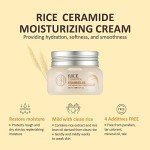 The Face Shop Rice Ceramide Moisturizing Cream - Rice Extract + Rice Bran Oil - Hydrating Targets Dryness, Brightening - Dermatologically Tested - Lightweight Moisturizer Face Cream - Korean Skin Care