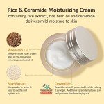 The Face Shop Rice Ceramide Moisturizing Cream - Rice Extract + Rice Bran Oil - Hydrating Targets Dryness, Brightening - Dermatologically Tested - Lightweight Moisturizer Face Cream - Korean Skin Care
