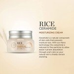 The Face Shop Rice Ceramide Moisturizing Cream - Rice Extract + Rice Bran Oil - Hydrating Targets Dryness, Brightening - Dermatologically Tested - Lightweight Moisturizer Face Cream - Korean Skin Care