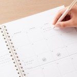 Everygirl 2025 Weekly and Monthly Planner Calendar, January 2025 - December 2025, 8.5" x 11", Flexible Cover, Laminated Tabs, Wirebound, Storage Pocket, Marisa (Marisa- 2025, 8.5" x 11")