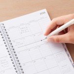 Blue Sky 2025 Weekly and Monthly Planner Calendar, January 2025 - December 2025, 5" x 8", Flexible Frosted Cover, Laminated Tabs, Durable Wirebound, Chloe