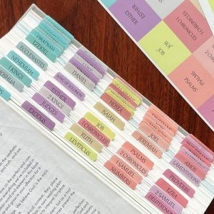 Reposition Large Text Bible Tabs, Contrast Color Bible Stickers for Women and Men, Easy to Read and Apply Bible Journaling Tabs (Bright Pastel)