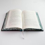 Under the Oak Tree: Volume 1 (The Novel) (Under the Oak Tree - Novel)