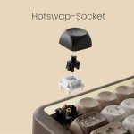 Akko Mechanical Gaming Keyboard with Walnut Wooden Case, MU01 Mountain Seclusion 65% 68-Key RGB 2.4G Wireless/Bluetooth/Wired Hot-swappable Keyboard with PBT Dye-Sub Keycaps for Mac & Win