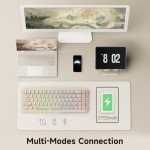 Akko YU01 Mechanical Gaming Keyboard with Transparent Keycaps, RGB Backlit, Hot Swappable, 2.4G Wireless/Bluetooth/Wired, 68-Key, for Mac & Win (Antique Jade, V3 Piano Pro Switch)