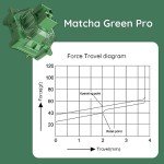 Akko V3 Matcha Green Pro Keyboard Switch with Dustproof Stem for Mechanical Gaming Keyboard, 50gf Actuation Force Linear Switches Pre-Lubed Switch (45 pcs)