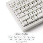 Akko 5075B Plus Air 75% Mechanical Keyboard Gasket Mount Hot Swappable RGB Wireless/Bluetooth/Wired Gaming Keyboard with PBT Dye-Sub Cherry Profile Keycaps for Mac/Win/Web（V3 Piano Pro Switch）
