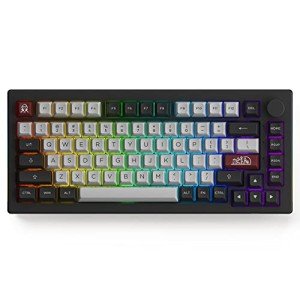 Akko Dracula Castle 5075B Plus Wireless Gaming Keyboard | LED RGB Wireless Keyboard with PBT Keycaps | 2.4 Ghz Bluetooth Keyboard | USB-C Wired Mechanical Keyboard | Gaming PC Accessories