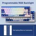 Akko JIN01 Santorini 65% Mechanical Keyboard RGB 2.4G Wireless/Bluetooth/Wired Hot Swappable Gasket Mounted Aluminum Gaming Keyboard with PBT Dye-Sub Keycaps for Mac & Win（Rosewood Switch, White