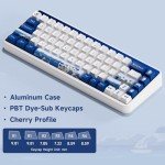 Akko JIN01 Santorini 65% Mechanical Keyboard RGB 2.4G Wireless/Bluetooth/Wired Hot Swappable Gasket Mounted Aluminum Gaming Keyboard with PBT Dye-Sub Keycaps for Mac & Win（Rosewood Switch, White