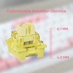 Akko Magnetic Switches Rapid Trigger Gaming Keyboard, MOD007B HE PC World Tour Tokyo Wired/Wireless 75% 8k Polling Rate Mechanical Keyboard with Knob, RGB Backlit Creamy Yellow Magnetic Switch