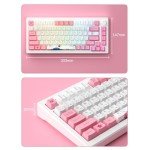 Akko Magnetic Switches Rapid Trigger Gaming Keyboard, MOD007B HE PC World Tour Tokyo Wired/Wireless 75% 8k Polling Rate Mechanical Keyboard with Knob, RGB Backlit Creamy Yellow Magnetic Switch