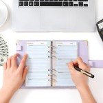 Toplive 3 Pack A6 Planner Refill Paper & Budget Sheets, Monthly Weekly Planner Losse Leaf Inserts 6 Hole Expense Tracker or A6 Planner Binder Cover Budget Bill Saving Organizer, Oil Painting 3 Pack