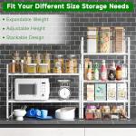 Expandable Spice Rack Organizer for Kitchen & Pantry