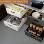 21" Deep Pull-Out Cabinet Organizer with Drawers
