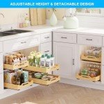 Golener 2-Tier Pull-Out Cabinet Organizer Drawers