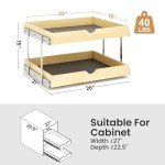 2-Tier Pull Out Cabinet Organizer for Home Storage