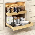 2-Tier Pull Out Cabinet Organizer for Home Storage