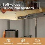 2-Tier Pull Out Cabinet Organizer for Home Storage