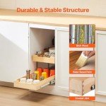 2-Tier Pull-Out Cabinet Organizer with Soft Close