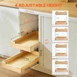 2-Tier Pull-Out Cabinet Organizer with Soft Close