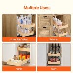 2-Tier Pull-Out Cabinet Organizer with Soft Close