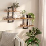 2-Tier Floating Wall Shelf Set - Rustic Brown & Black