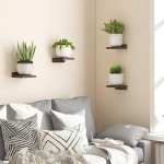 Rustic 5x5 Inch Floating Wall Shelf Set of 4