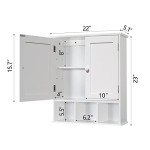 TaoHFE Wall Cabinet with Adjustable Shelves for Storage