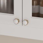 Wood Wall Mounted Storage Cabinet with Glass Doors
