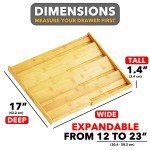 Expandable Bamboo Spice Drawer Organizer for Kitchen