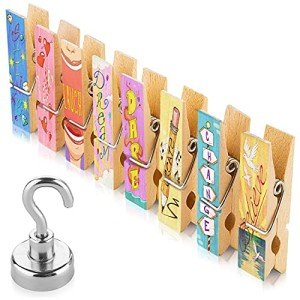 Cute Fridge Magnets for Photos and Memos