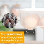 Plastic Deviled Egg Containers with Lid - Set of 2