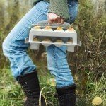 Deviled Egg Carrier for 24 Eggs - Two Tier