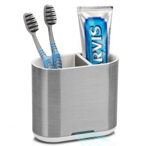 Brushed Silver Toothbrush and Toothpaste Holder Caddy