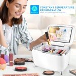 6L Portable Mini Skincare and Makeup Fridge