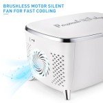 6L Portable Mini Skincare and Makeup Fridge