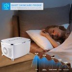 6L Portable Mini Skincare and Makeup Fridge