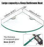 2 Pack Wall-Mounted Glass Corner Shelves
