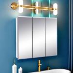 Cyprus Wall Medicine Cabinet with Mirrored Doors