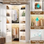 Corner Closet System with 12 Shelves and 2 Rods