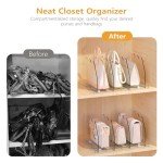 Ronlap Clear Purse Storage Organizer - 2 Pack