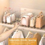 Ronlap Clear Purse Storage Organizer - 2 Pack