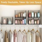 Closet Handbag Organizer with Adjustable Dividers (2-Pack)
