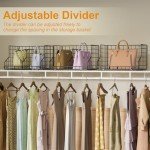 Closet Handbag Organizer with Adjustable Dividers (2-Pack)