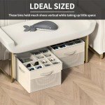 Shoe Organizer Box Set with Adjustable Dividers